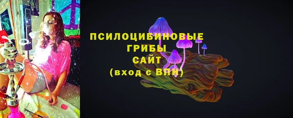 сатива Новодвинск