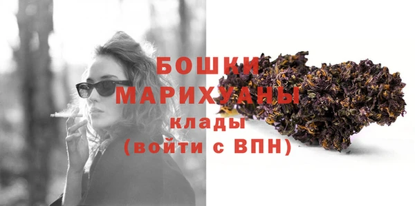 не бодяженный Новозыбков