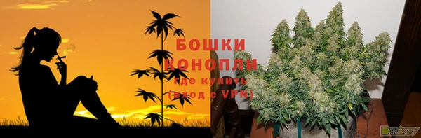 не бодяженный Нефтегорск