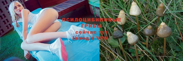 не бодяженный Нефтегорск