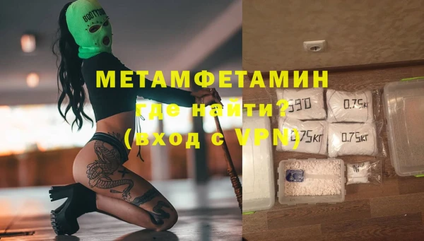 сатива Новодвинск
