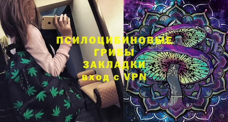 Галлюциногенные грибы Psilocybe  Уфа 