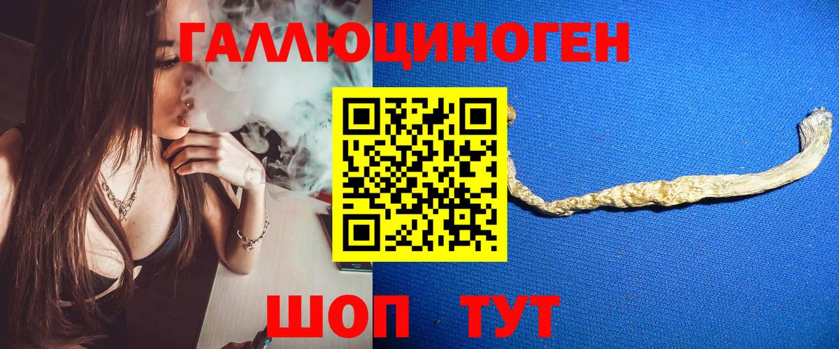 Галлюциногенные грибы Psilocybe  Псилоцибиновые грибы Cubensis  Уфа 