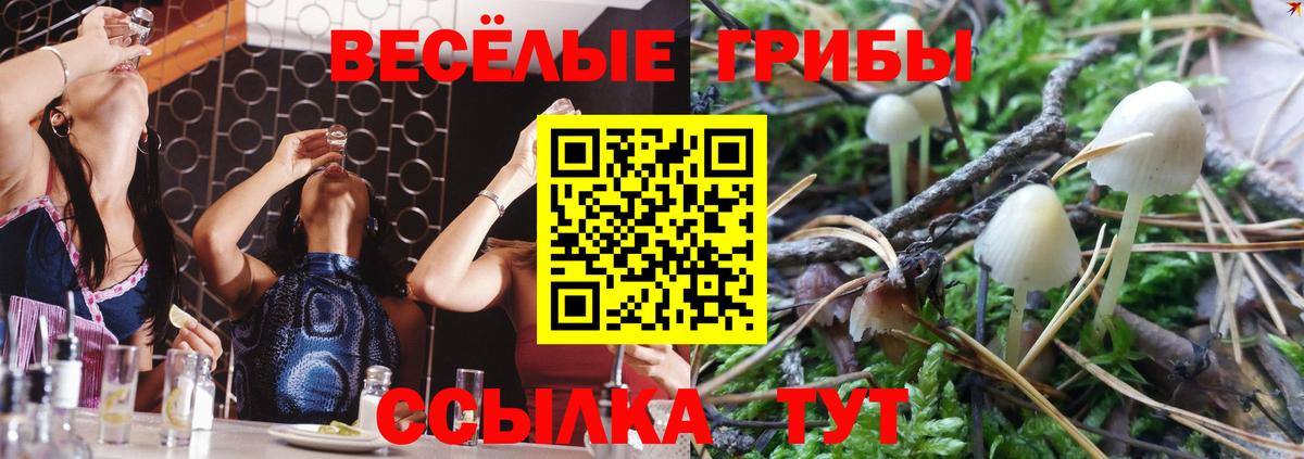 Уфа  Псилоцибиновые грибы прущие грибы  сколько стоит  Вход с VPN 