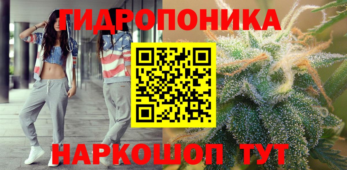 Канабис план  Уфа  Марихуана индика 